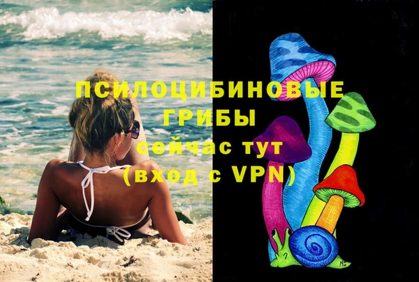 ПСИЛОЦИБИНОВЫЕ ГРИБЫ Новодвинск