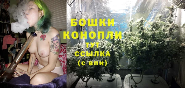 ПСИЛОЦИБИНОВЫЕ ГРИБЫ Новодвинск