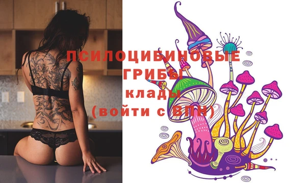 мдма Новозыбков