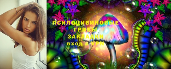 скорость Новокубанск