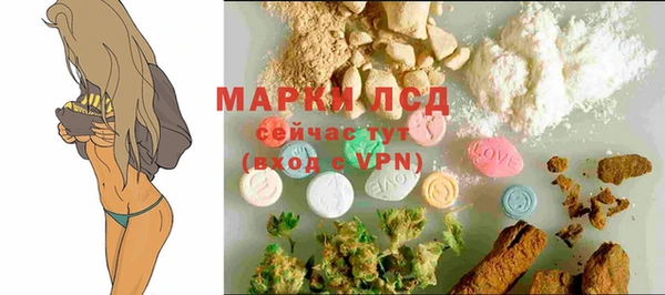 ПСИЛОЦИБИНОВЫЕ ГРИБЫ Новодвинск