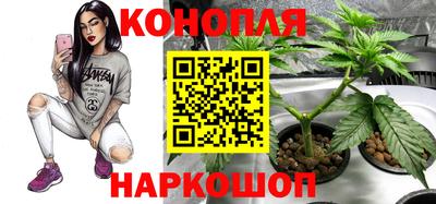прущая мука Гай