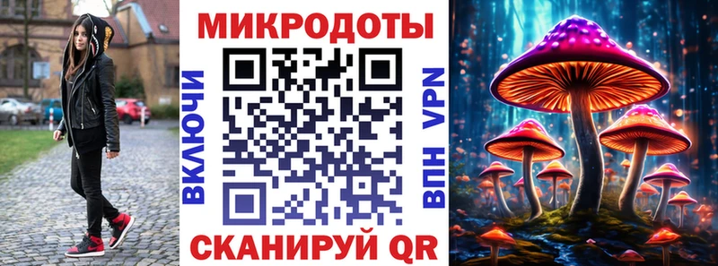 kraken зеркало  Балаково  Псилоцибиновые грибы Psilocybine cubensis 