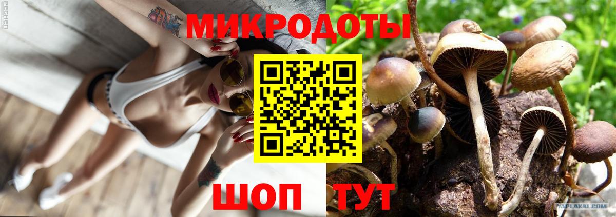 Галлюциногенные грибы Cubensis  где продают наркотики  Балаково  Вход с VPN 