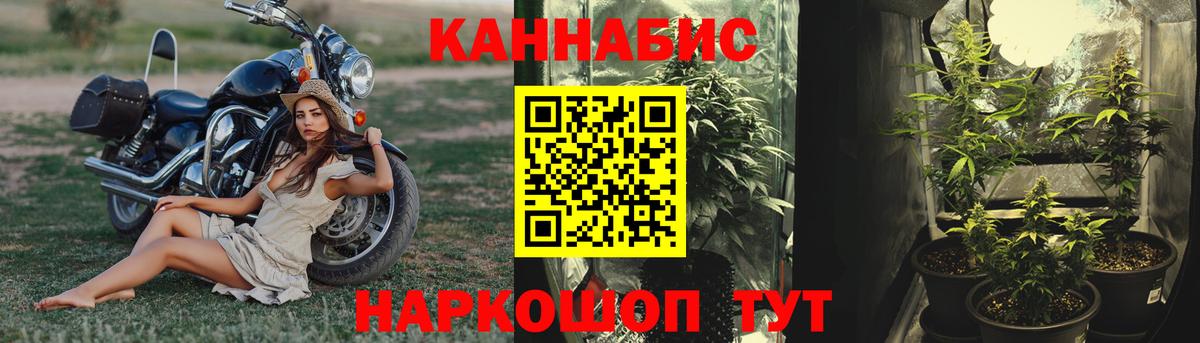 Канабис Bruce Banner Балаково